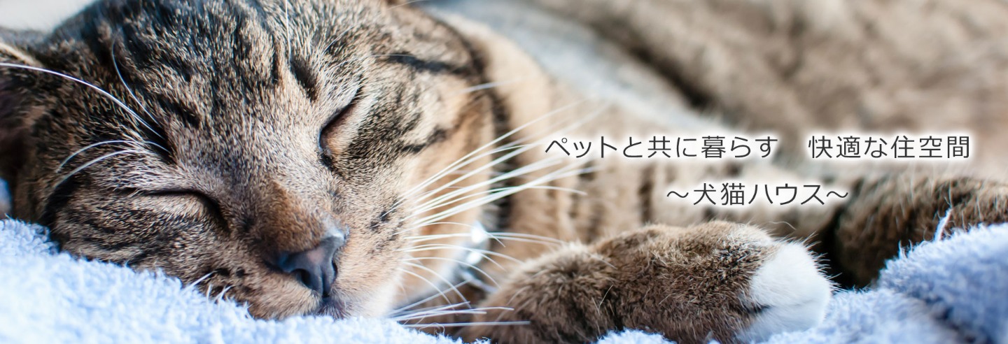 犬猫ハウス